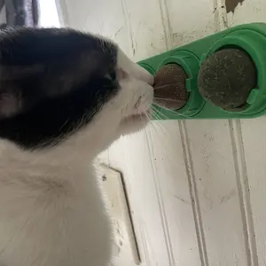 Catnip Toys Balls 4 Pcs, Extra Cat Energy Ball, Edible Kitten Silvervine Toys, Healthy Kitty Teeth Cleaning Dental Chew Toys, Cat Wall Treats Cat Stuf