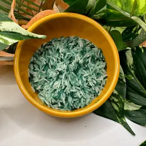 Enchanted Money Rice