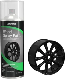Aluminum Wheel Rim Paint Protective Clear Coat, Satin Finish, 1 Can, 13 Oz