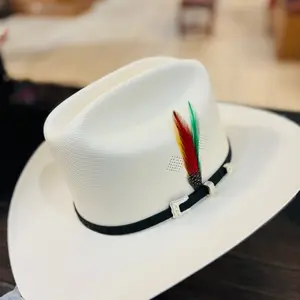 Pluma para Texana Cowboy Hat Feather with Colorful Feathers  (HAT IS NOT INCLUDED ) NO INCLUYE EL SOMBRERO , SOLAMENTE ES LA PLUMA PARA EL SOMBRERO