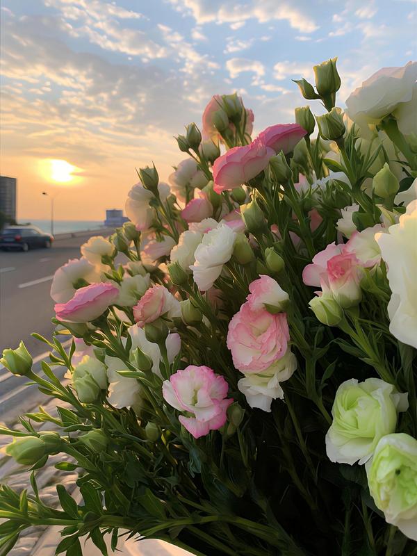 1000 Lisianthus Seeds - Mixed Color Perennial Lisianthus Seeds, Thornless Rose Seeds, Good for Planting, Wildflowers, Non-GMO, Gardens, Indoor Flowers