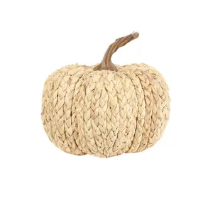 White Cornpeel Pumpkin