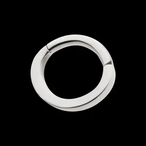 16g Titanium Oval Shape Hinged Segment Clicker (for Rook Piercing)