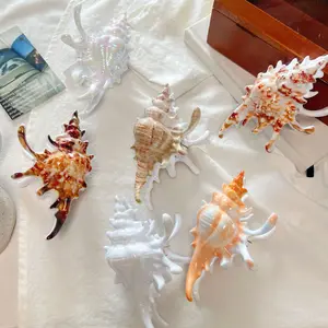Ocean Style Simulation Conch Shark Hair Claw Clip for Women, 3D Seashell Design Large Hair Jaw Clip, Non-slip Back Head Ponytail Holder for Daily Commute, Beach Vacation Party & Holiday Gift