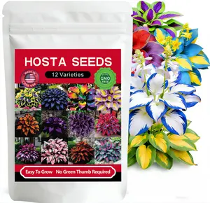 12000+Pcs Mixed Hosta Seed, 12 Varieties Rare Heart-Shaped Perennial Shade Garden Seeds, Non-GMO Heirloom with Rich Foliage, Perfect for Outdoor Planting, Pollinator-Friendly & Ideal for Bonsai & Shaded Pathway Decor