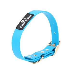 Classic Blue PlayProof PVC Collar