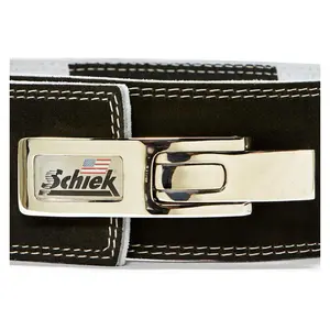 Replacement Lever Buckle