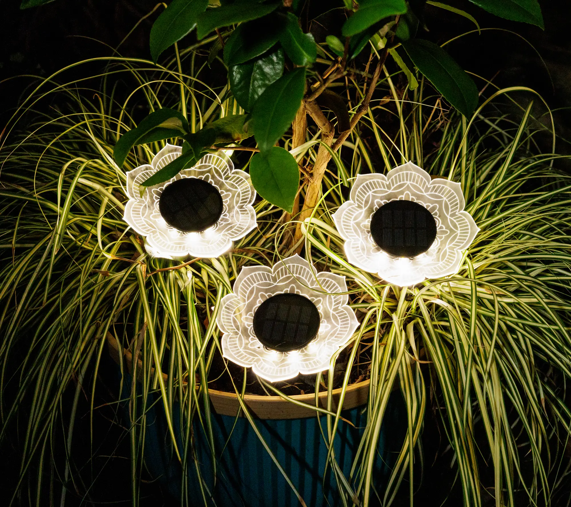 Jennings Set of 4 Fiber Effect Acryllic Flower Lights