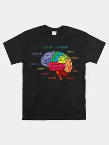 Men'S Psychology & Neuroscience T-Shirt Labeled Brain Sections (Amygdala Hippocampus Frontal Lobe) Psychology Major Gift Idea Student Apparel Casual Round Neck Tee with Psychology Terms CMen'S Round Neck Creative Print Short Sleeve T-Shirt