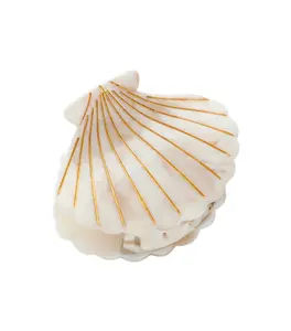Calacatta Seashell Claw Clip - White/Tan/Gold