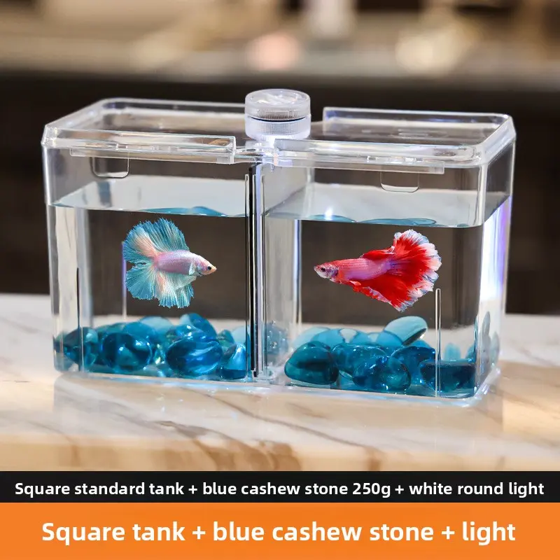 Standard tank + cashew stone blue + light