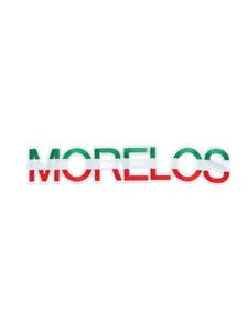MORELOS Decorative Patch 170143 High Quality Heat Press or Sew on Garment Item