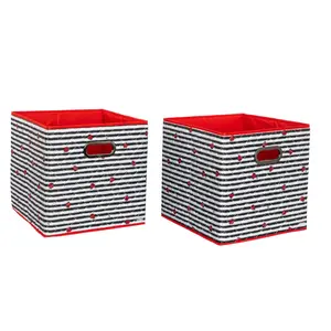 Lug Set of 2 Collapsible Storage Cubes -Cargo