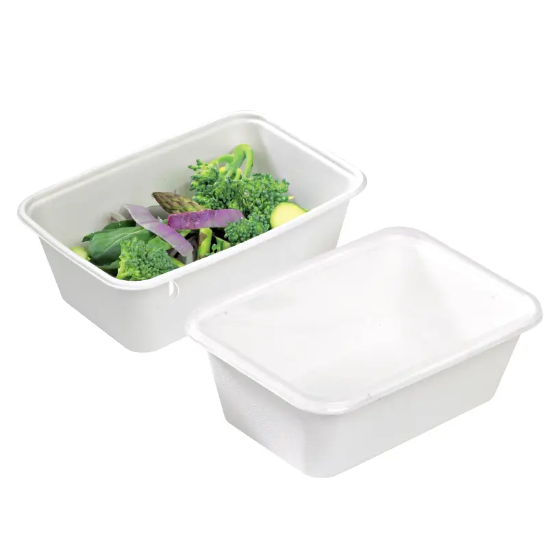 Packnwood 210APUREC750 Sugarcane Salad Bowl - Rectangular, 25oz Disposable Tableware Bowl