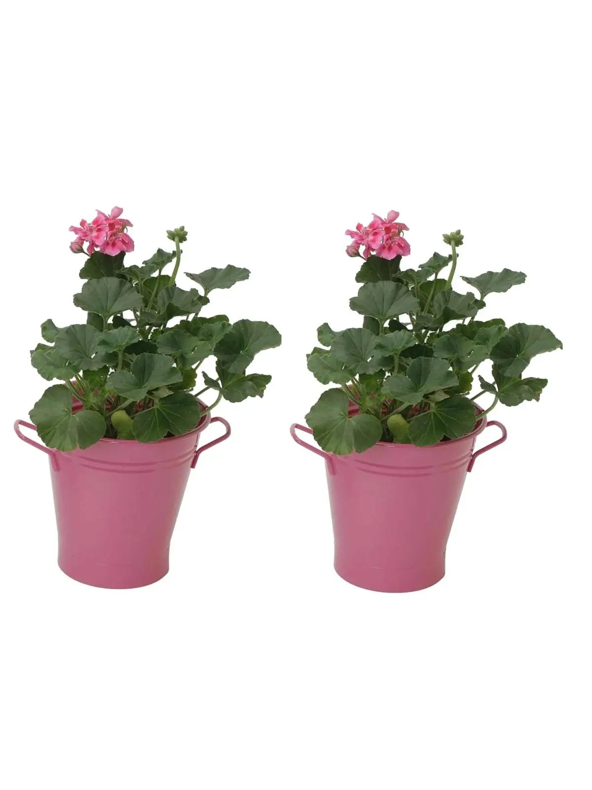Houston Intl Trading 8135E HPK S/2 Houston Intl Trading 8135E HPK S/2 Galvanized Steel French Planter 7'D x 7'H