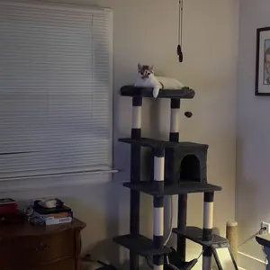 Yaheetech 63 Inches Multi-Level Cat Tree with Sisal Scratching Posts, Condo, Hammock, Dangling Ball, and Extended Platform for Cats to Play and Sleep - Scratcher