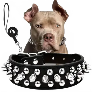Rivet Spiked Dog Collar & Leash Set - Adjustable