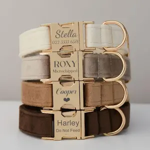 Multiple Colour Velvet Personalized Dog Collar Leash Set with Bow Tie & Metal Buckle for Stylish Pet Accessories Customizable with Name & Contact Information