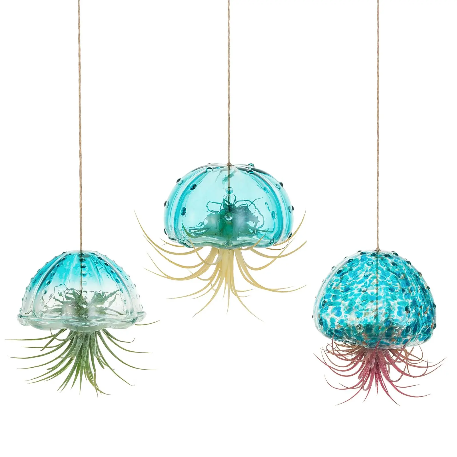 Hanging Air Plant Holder: 3Pcs Glass Jellyfish Air Plant Hanger with Jute Ropes for Tillandsia Succulent Houseplants - Cute Airplant Display Container for Indoor Home Decor