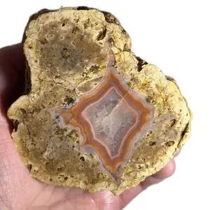 Large Red Band Geode Agate Nodule