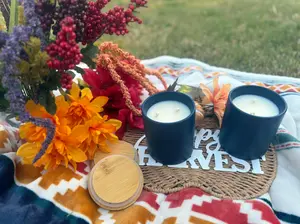 ScentSoftly Candle Therapy Collection Water Lily Ceramic Candle