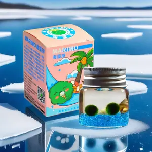 Marimo Seaweed Ball Glass Box Ecological Bottle - Nature Decor Algae Ball Plant for Creative Mini Potted Plants, Indoor Desktop Fish & Aquatic Pet Supplies Decoration with Green Marimo and Blue Gravel