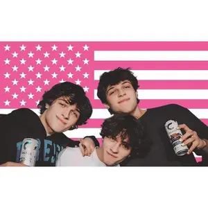 Tapestry  MAGJIUKE Sturniolo American Triplets Flag Tapestry - Pink Chris,Matt,Nick Sturnio USA Wall Hanging Decor For Bedroom And Living Room