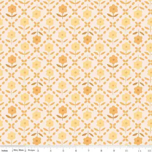 Fabric Riley Blake Marigold Zinnias Bee Plaids 108" Wide Back by the Quarter Yard WB15574-MARIGOLD