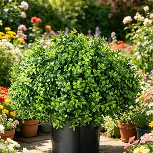 Artificial Boxwood Topiary Tree, UV Protected Fake Greenery Plant, Outdoor Faux Shrubs with Plastic Pot, Home Garden Decoration