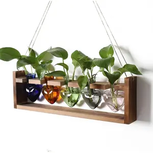 Terrarium Hanging Propagation Stations  for Women Air  Holder with Wooden Stand Heart Glass