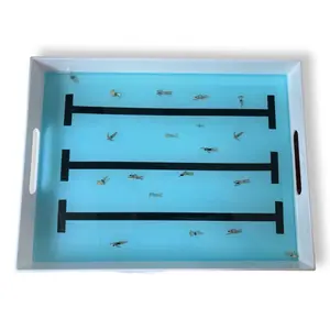 Olympic Swimming Pool Resin Tray - Clear Design with Black Slides for Versatile Use - Plates