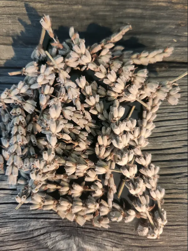 Dried Lavender Buds | Whole Flower (No Stems)