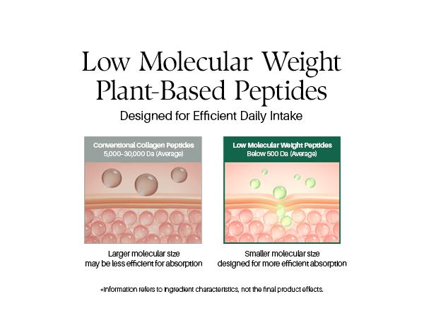 [Veganery] Peptide Booster First Shot 2000mg Set