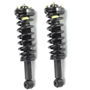 Pair Front Complete Strut Coil Spring Assembly Fits 2009-2013 Ford F-150 RWD
