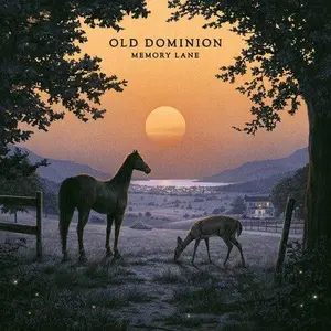 Old Dominion - Memory Lane NEW Vinyl Record 196588251214