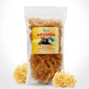 Irish Sea Moss | 8 Oz of Organic Raw Sea Moss | Ideal to make 60+ Oz of Gel | Sun-Dried Golden Sea Moss | Straight from the Coast of St. LuciaIrish Sea Moss | 8 Oz of Organic Raw Sea Moss | Ideal to make 60+ Oz of Gel | Sun-Dried Golden Sea Moss