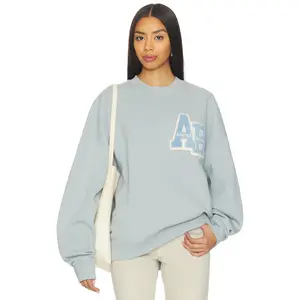 ANINE BING Miles Oversized Sweatshirt Letterman in Pastel Blue