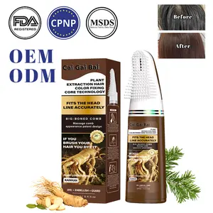 QIUFSSE 2-in-1 Plant Hair Color Comb – Brush to Dye, Instant Gray Coverage, Nourishes with Ginger & Ginseng, Easy No-Mess Application (200ml/6.8fl oz)