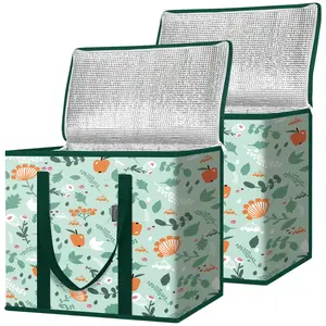 2-Pack Insulated Foldable Grocery Bags, Portable Cooler Tote Bags for Frozen Food, Delivery, Picnic - Spring Stroll Home Organizer Storage Holders