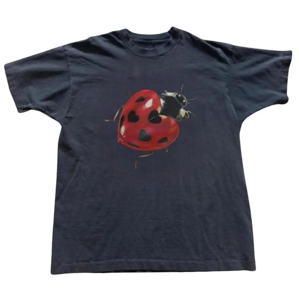The Heart Ladybug Shirt, Cute Love Bug Graphic Tee, Minimalist Ladybird Shirt, Gift For Woman, Gift For Men, Womenswear Top Underwear Streetwear, Trending Shirt