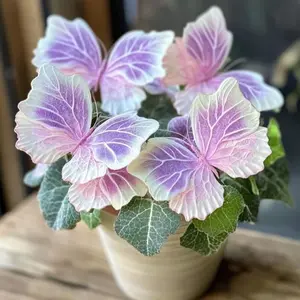 700Pcs Hosta Seeds – Effortless Gardening for Lasting Beauty