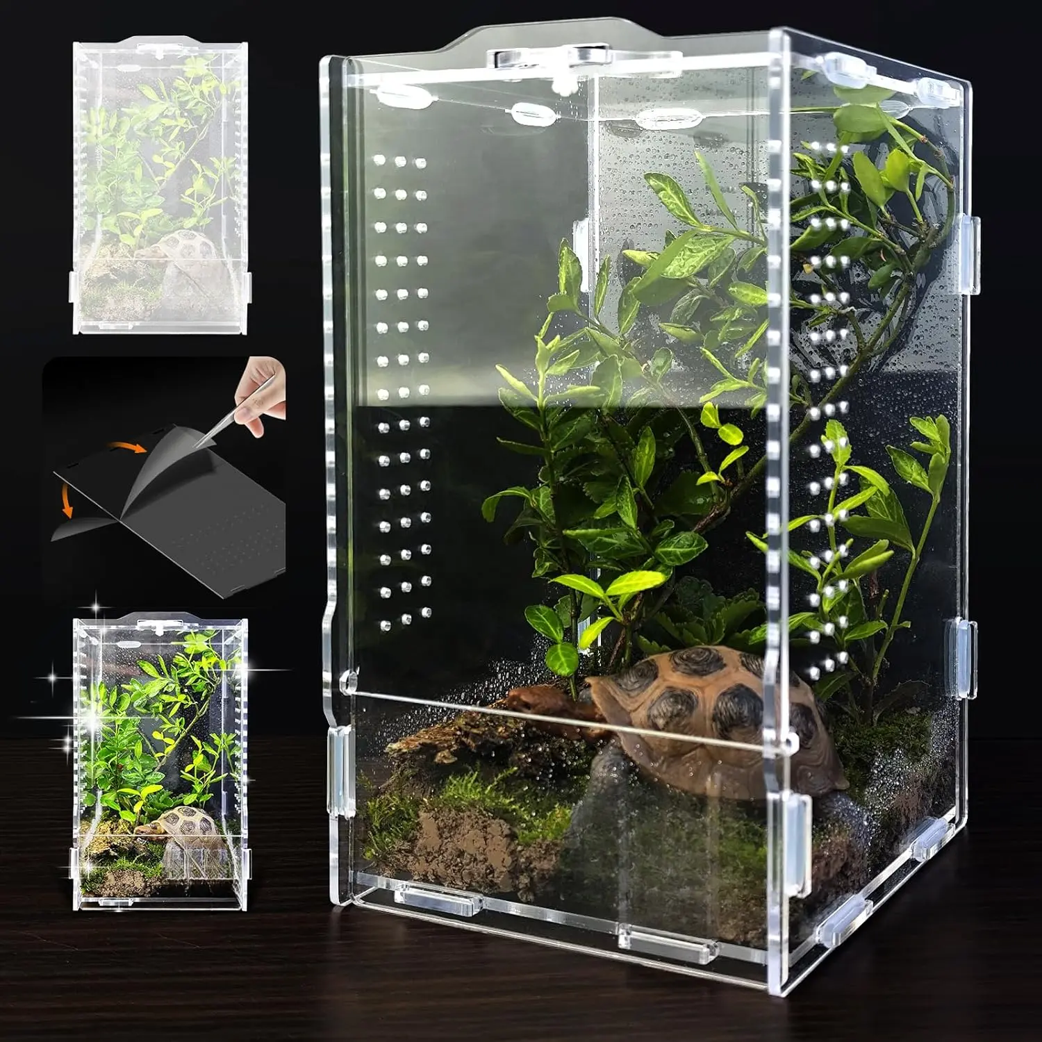 Transparent Clam-Shell Design Square Acrylic Jumping Spider Enclosure - 7.87" x 4.72" x 4.33", 360-Degree View Reptile Terrarium, Easy to Install Pet Habitat for Lizards, Praying Mantises
