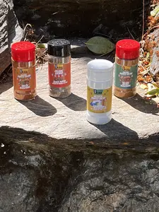 2-Pack Bodega Flava Latin Seasonings Salt-Free Puerto Rican Adobo and Sazón Seasoning, Organic and Natural (4 oz jars)