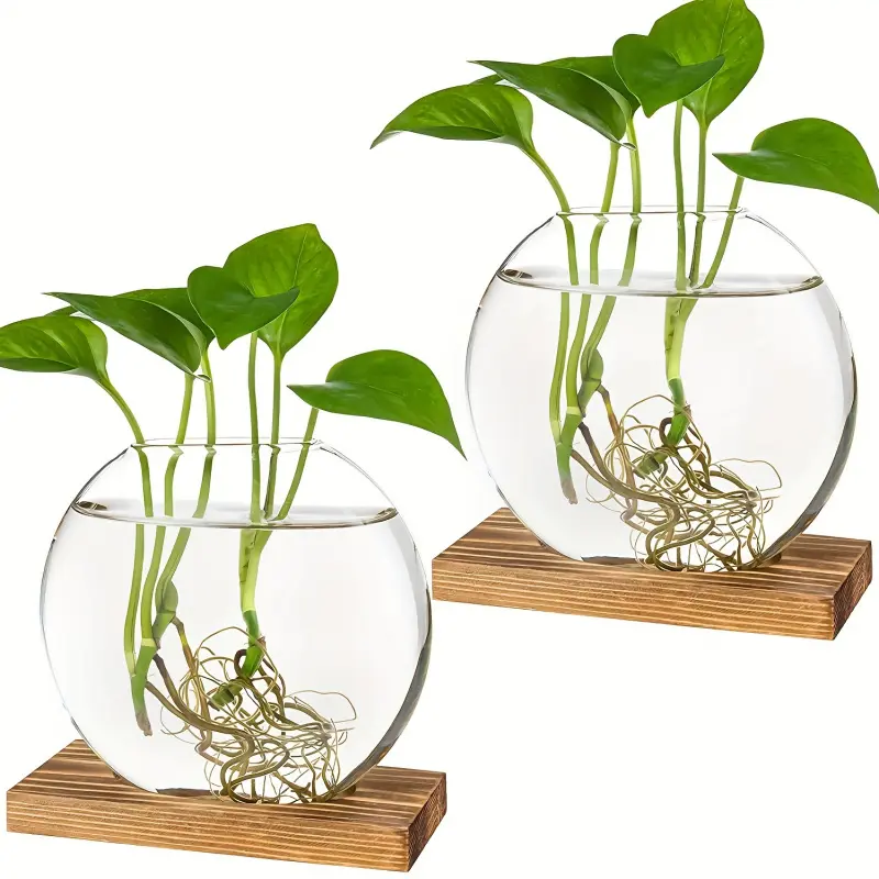 2 PCS Modern Round Glass Planter with Wooden Stand for Propagation Hydroponic Plants Home Office Decoration Modern Plant Pot Planter Pots Decorative Round Planter