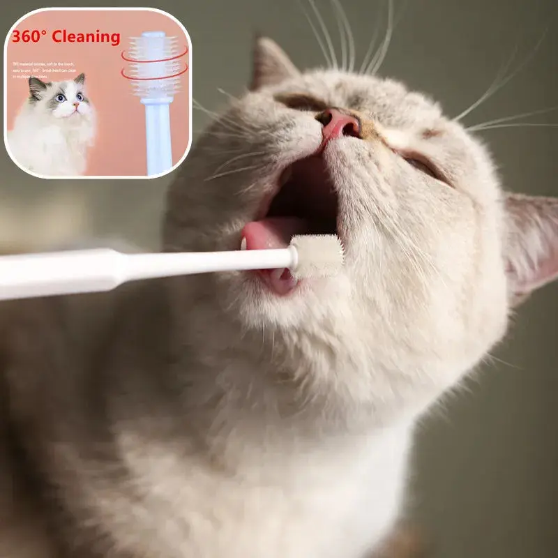 Soft Silicone Cat Toothbrush – Gentle Dental Cleaning Brush for Cat Mouth Care (Blue, White, Green)