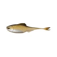 Golden Shiner