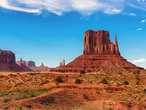 Posters 24 X 36 Inch Prints Wall Art Decoration