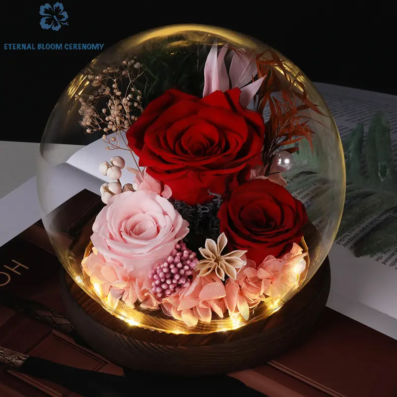 Enchanted Roses Gifts for Her - Real Rose Flowers in Glass Dome with LED Light - Perfect Gifts for Women, Mom, Grandma, Her, Girlfriend, Wife, Anniversary, Unisex, Mothers Day Gift Ideas, Cute Gifts For Girlfriend