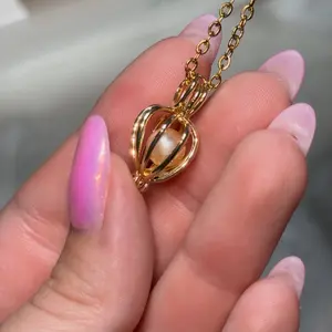 Wish Pearl Necklace Kit - Valentines Day DIY Jewelry with Oyster Shell, 18-Inch Sterling Silver Chain, AAA Grade Pearl & Pendant Holder