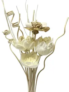 Reed Diffuser Sticks, Reed Diffuser Sticks Flowers, Reed Diffuser Set for Bathroom, Reed Diffuser for Home, Bedroom Decor, Office,12Pcs, Natural Flower